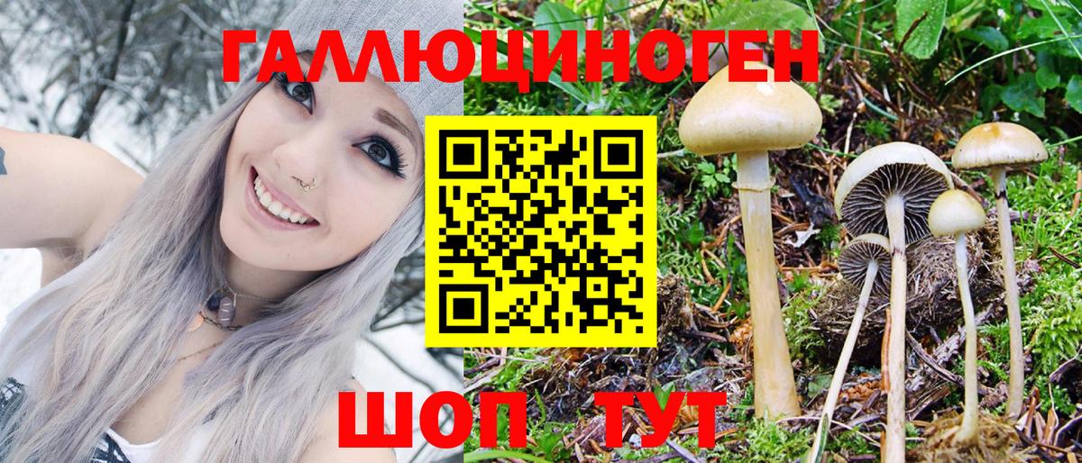 Псилоцибиновые грибы ЛСД Кстово